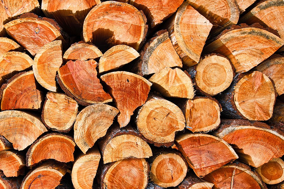 chopped-dry-wood-logs-2021-08-27-09-31-17-website.jpg